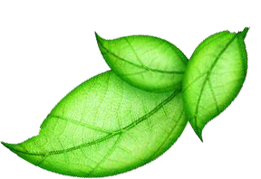 GAYKO Nachhaltigkeit